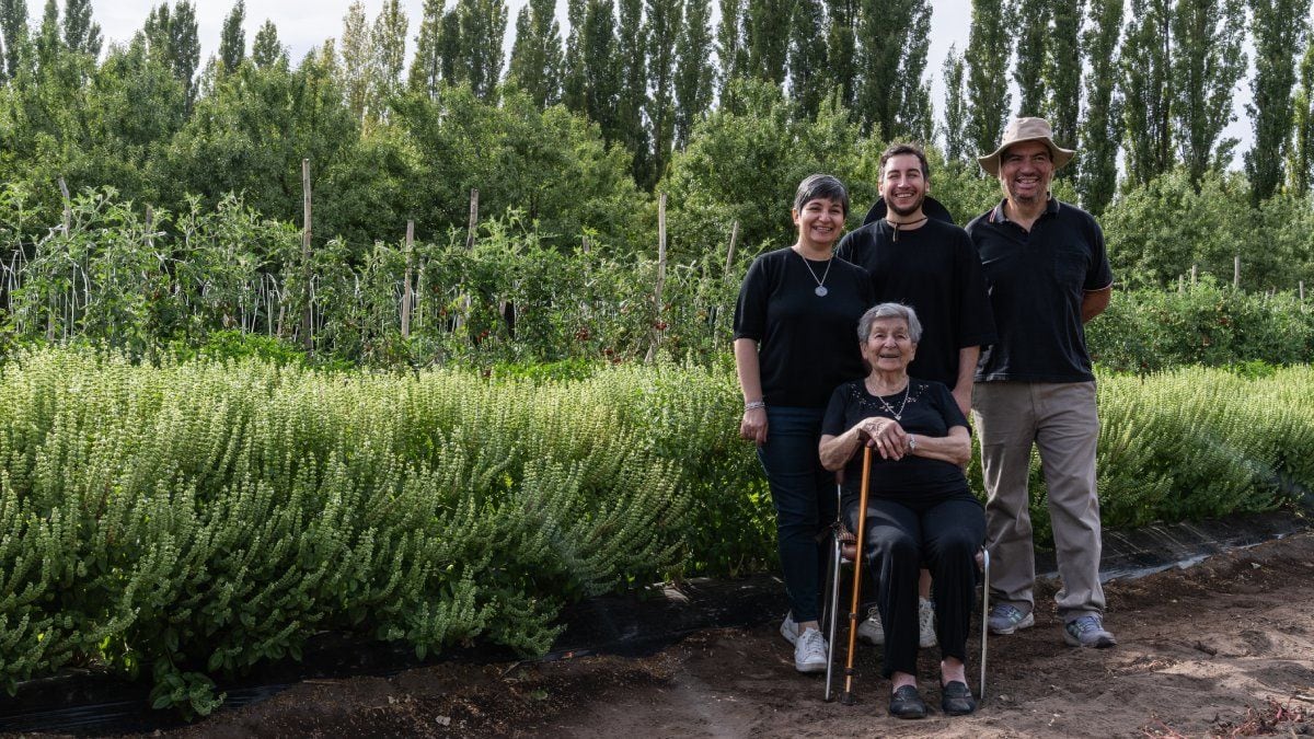 El comprobante de la abuela Julia y el nacimiento de una salsa que ya cruza las fronteras de Neuquén