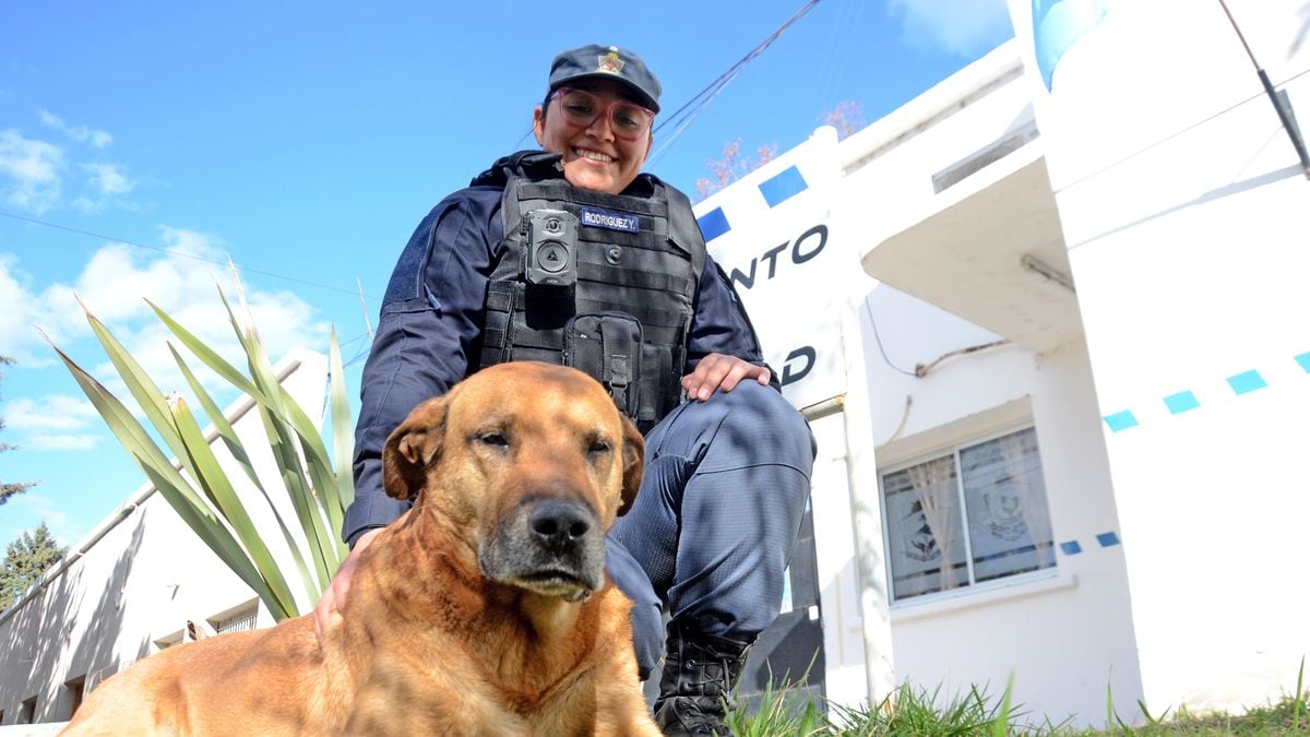 Puchero, el perro que se ganó la calle y la comisaría: una década pedaleando junto a los bicipolicías de Neuquén