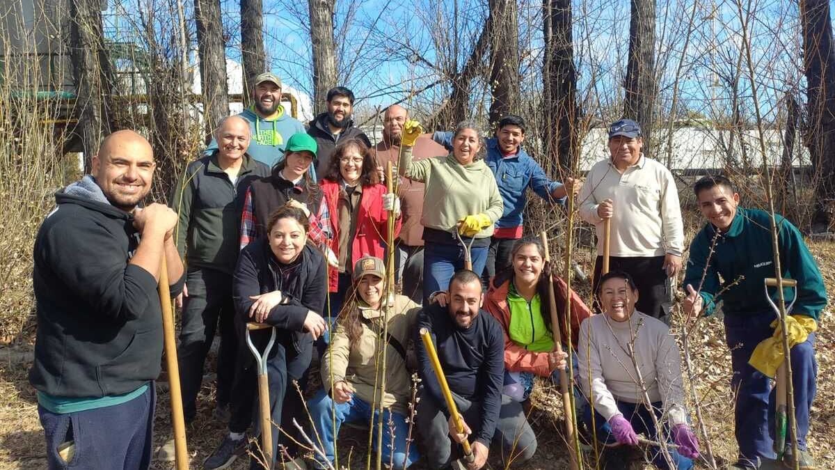 Plottier abre la puerta del Sauce Criollo: un taller gratuito para multiplicar al árbol que casi nadie sabe nombrar