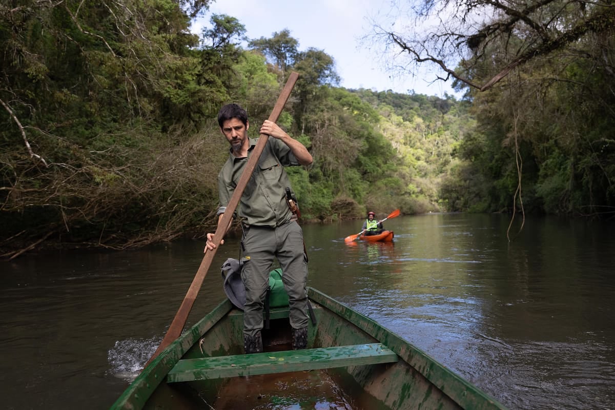 A 290 kilómetros de Iguazú, una reserva de Misiones con cabañas sobre el arroyo y kayak entre la selva