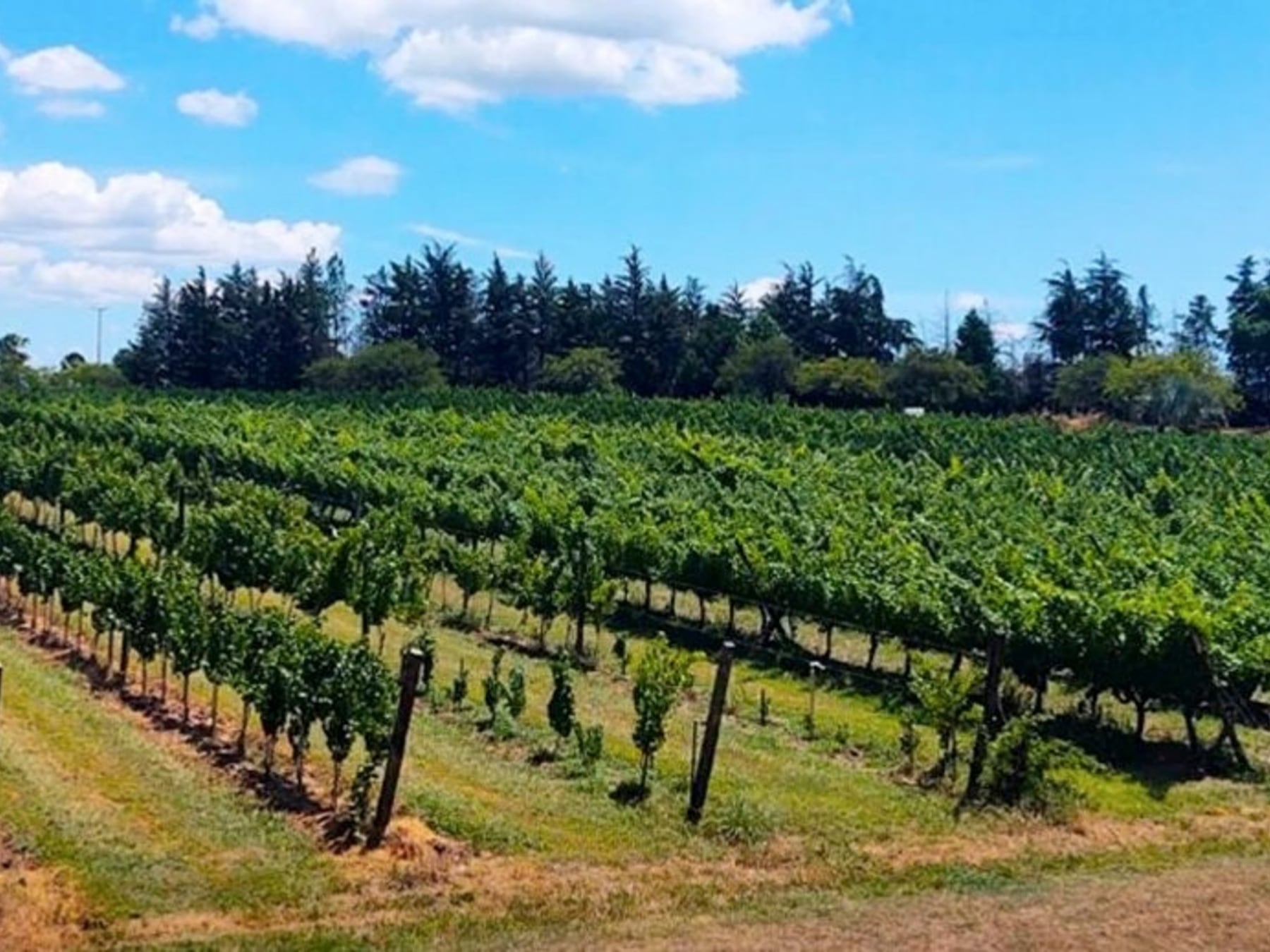 San José, el rincon entrerriano donde el agua caliente se sirve junto a una copa de vino