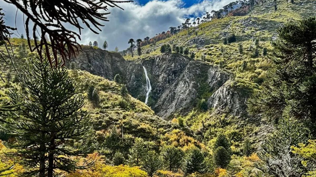 Ofertas de tierras en Pulmarí: la advertencia que puede ahorrarle a más de uno una pérdida y un dolor de cabeza