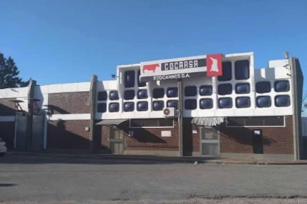 Ecocarnes San Fernando: empleados sin cobertura médica y con salarios bajo presión en plena negociación gremial
