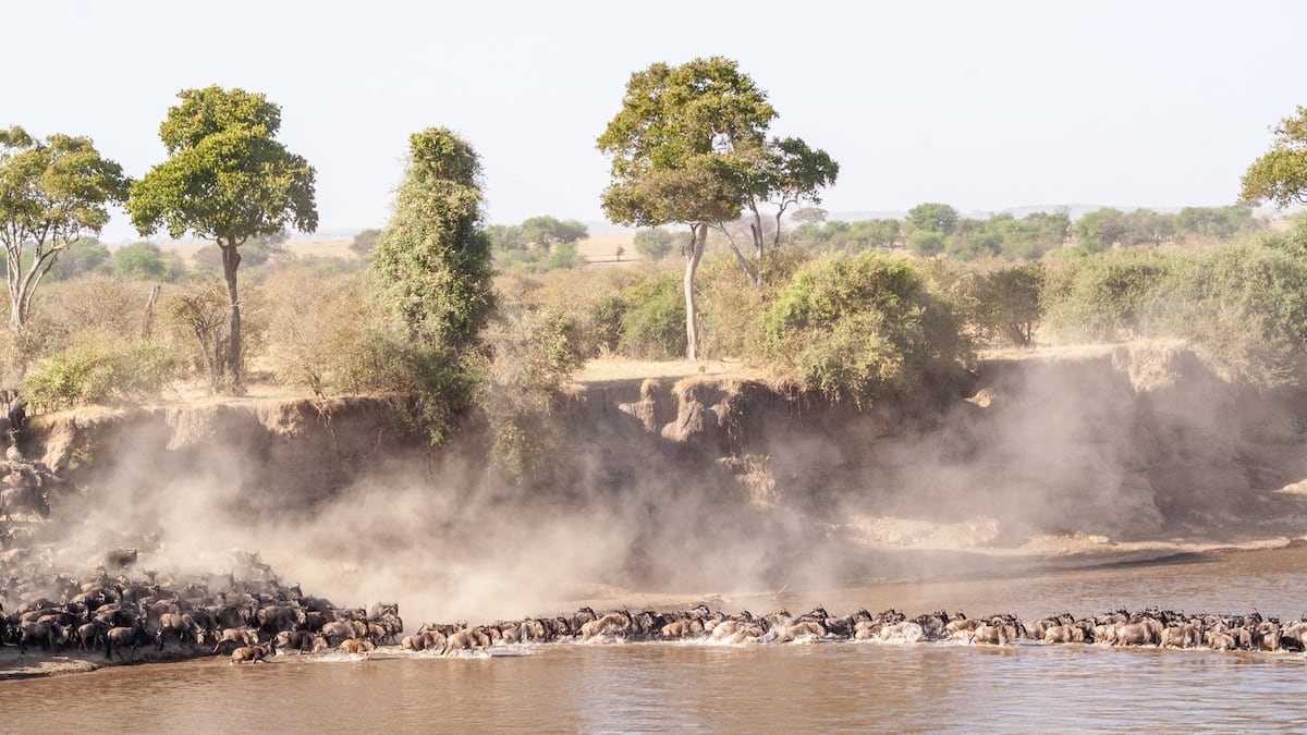 Tanzania de safari: entre baobabs, cráteres y pueblos ancestrales