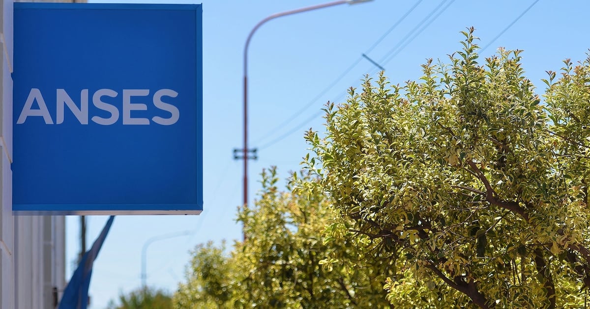 ANSES confirmó el calendario de pagos de octubre para titulares con DNI terminado en 2: fechas, montos y bono de refuerzo