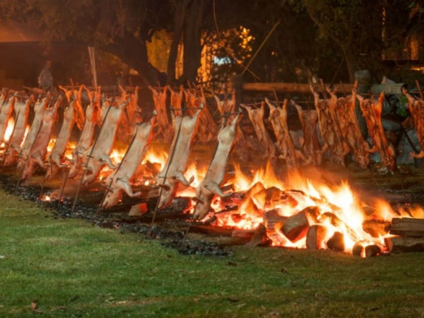 El feriado largo se sirve en la mesa: cinco fiestas para recorrer Buenos Aires sin salir de la provincia