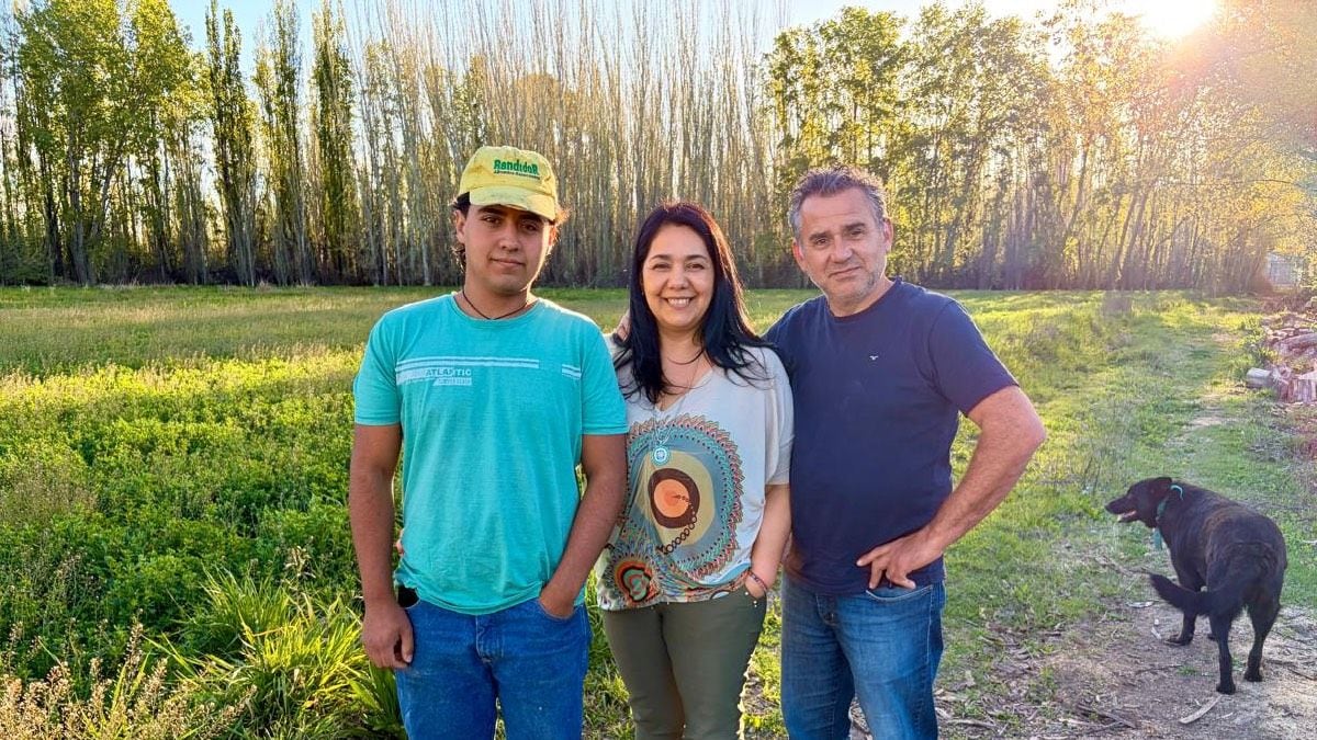 La chacra ya no sostiene a la familia: en Centenario, son ellos quienes bancan la tierra con el sueldo de cada mes