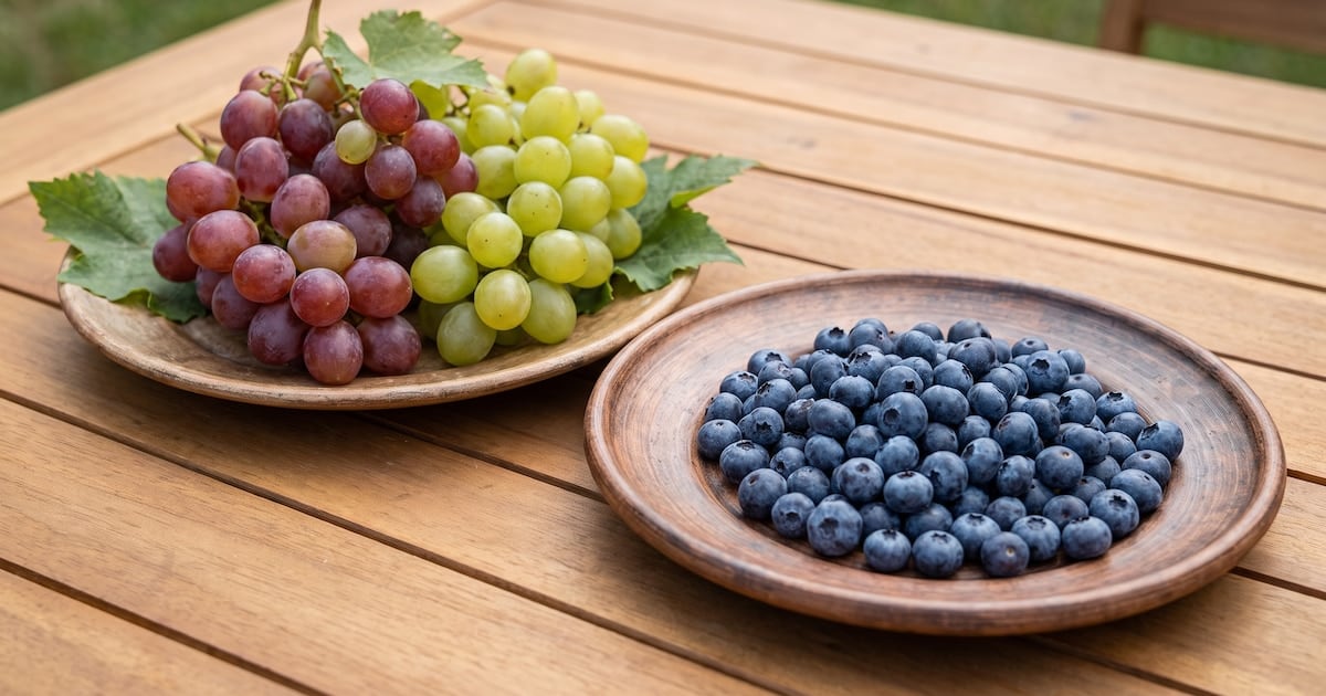 Arándanos o uvas: la pulseada por el azúcar en sangre y por qué la fibra decide quién gana