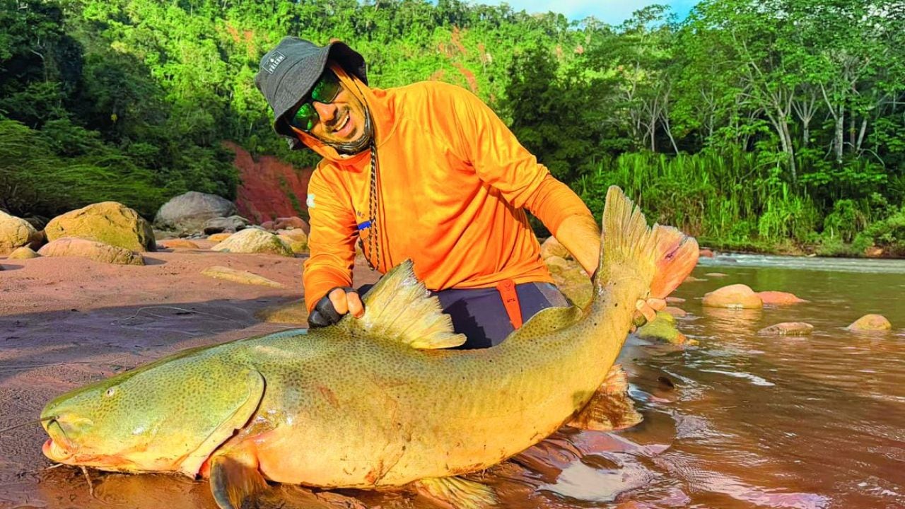Aguas del norte: cinco días de pesca con devolución en la Amazonía boliviana, donde se cazan piezas de 25 kilos