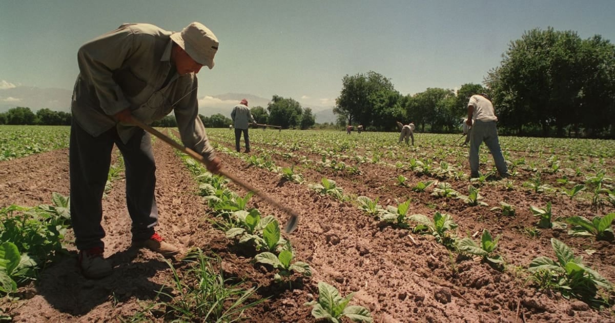 El campo sostiene por un año más el piso de embarque para sus asignaciones por hijo