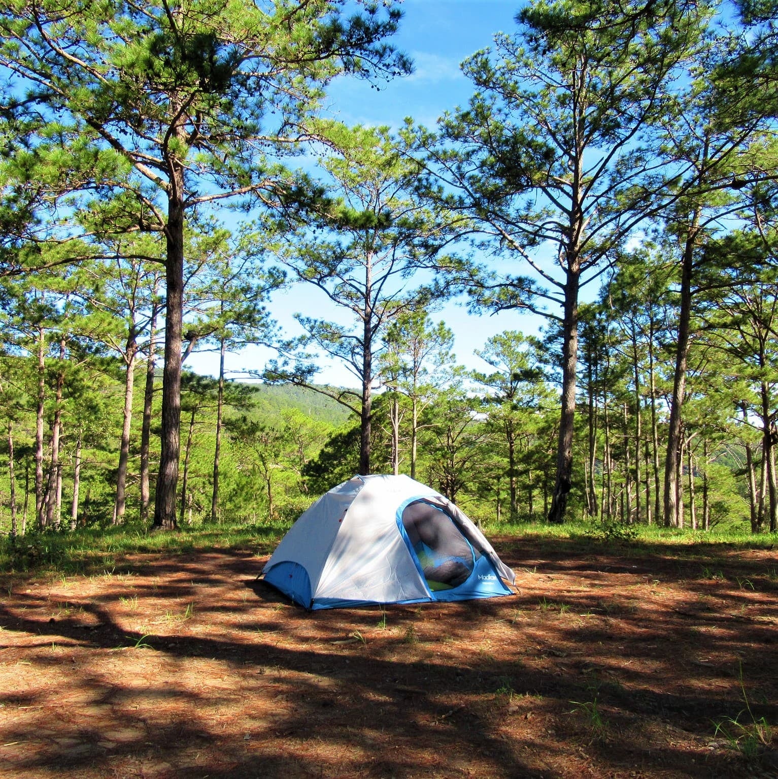 Mar Azul se viste de camping europeo: Huttopia llega a la costa con 55 hectáreas de bosque y mar