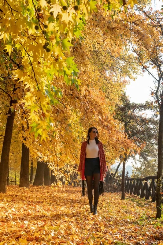 El otoño europeo cambia el ritmo: doce capitales entre parques, museos y muffas